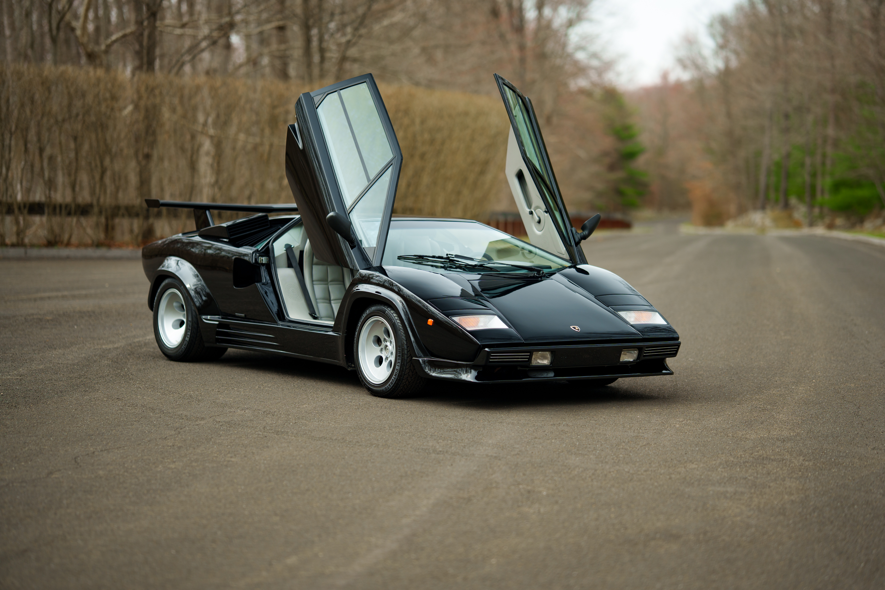 1988 Lamborghini Countach 5000 QV 
